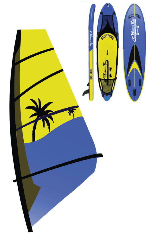 Blue Tang - WindSurfing Board